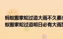 蚂蚁搬家蛇过道大雨不久要来到的意思是不是气象的词（蚂蚁搬家蛇过道明日必有大雨到的意思）