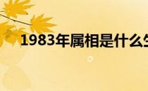 1983年属相是什么生肖（1983年属相）