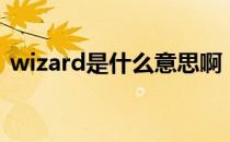 wizard是什么意思啊（wizard是什么意思）