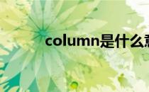 column是什么意思（column）