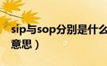 sip与sop分别是什么意思（sop和sip是什么意思）