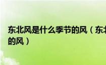 东北风是什么季节的风（东北风是从什么方向吹向什么方向的风）