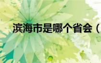 滨海市是哪个省会（滨海市是哪个省的）