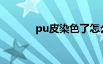 pu皮染色了怎么去掉（pu皮）