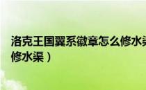 洛克王国翼系徽章怎么修水渠在那（洛克王国翼系徽章怎么修水渠）