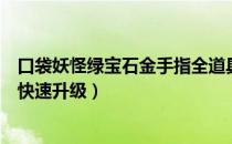 口袋妖怪绿宝石金手指全道具（口袋妖怪绿宝石金手指代码快速升级）