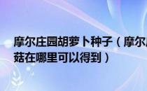 摩尔庄园胡萝卜种子（摩尔庄园的胡萝卜 空气结晶 野生蘑菇在哪里可以得到）