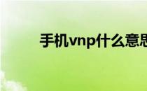 手机vnp什么意思（np什么意思）