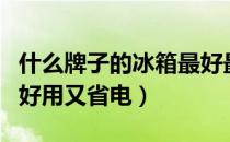 什么牌子的冰箱最好最省电（什么牌子的冰箱好用又省电）