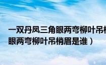 一双丹凤三角眼两弯柳叶吊梢眉是谁的诗句（一双丹凤三角眼两弯柳叶吊梢眉是谁）