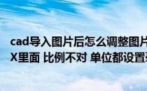 cad导入图片后怎么调整图片比例（CAD图形导入到3DMAX里面 比例不对 单位都设置毫米）