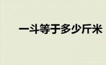 一斗等于多少斤米（一斗等于多少斤）