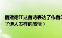 宿建德江这首诗表达了作者怎样的思想感情（宿建德江表达了诗人怎样的感情）