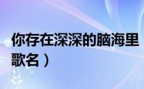 你存在深深的脑海里（你存在我深深的脑海里歌名）