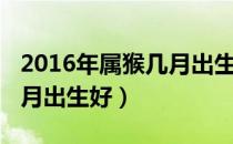 2016年属猴几月出生好农历（2016年属猴几月出生好）