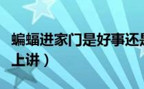 蝙蝠进家门是好事还是坏事（蝙蝠进家在风水上讲）