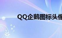 QQ企鹅图标头像（qq企鹅图标）