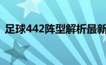 足球442阵型解析最新（足球442阵型解析）