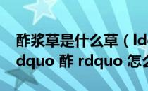 酢浆草是什么草（ldquo 酢浆草 rdquo 的 ldquo 酢 rdquo 怎么读）