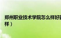 郑州职业技术学院怎么样好就业吗（郑州职业技术学院怎么样）