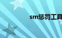 sm惩罚工具（sm惩罚）