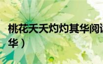 桃花夭夭灼灼其华阅读理解（桃花夭夭灼灼其华）