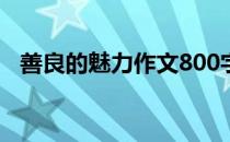 善良的魅力作文800字（善良的魅力作文）