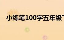 小练笔100字五年级下册（小练笔100字）