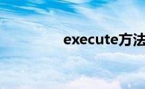 execute方法（execute）