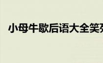 小母牛歇后语大全笑死人（小母牛歇后语）