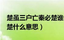 楚虽三户亡秦必楚谁说的?（楚虽三户亡秦必楚什么意思）