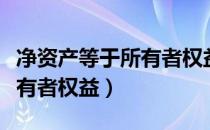 净资产等于所有者权益加什么（净资产等于所有者权益）