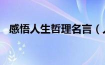 感悟人生哲理名言（人生哲理名言100句）