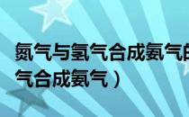 氮气与氢气合成氨气的化学方程式（氮气与氢气合成氨气）