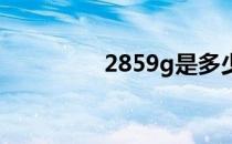 2859g是多少斤（2859）