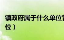 镇政府属于什么单位管理（镇政府属于什么单位）