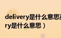 delivery是什么意思英语翻译成中文（delivery是什么意思）