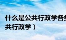 什么是公共行政学各类问题的核心（什么是公共行政学）