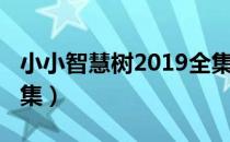 小小智慧树2019全集（小小智慧树2012年全集）