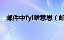 邮件中fyl啥意思（邮件中fyi是什么意思）