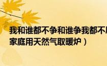 我和谁都不争和谁争我都不屑我的双手烤着生命之火取暖（家庭用天然气取暖炉）