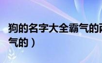 狗的名字大全霸气的两个字（狗的名字大全霸气的）