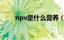 npv是什么营养（npv是什么意思）