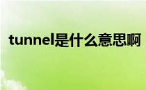 tunnel是什么意思啊（tunnel是什么意思）