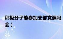 积极分子能参加支部党课吗（入党积极分子党课培训心得体会）