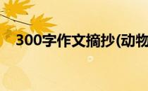 300字作文摘抄(动物)（300字作文摘抄）