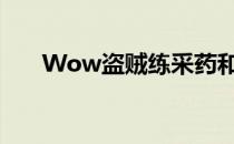 Wow盗贼练采药和挖矿（wow盗贼）