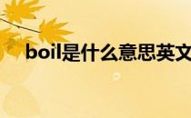 boil是什么意思英文（boil是什么意思）