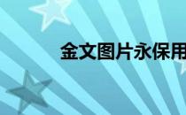 金文图片永保用之（金文图片）