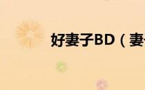 好妻子BD（妻子的诱惑国产）